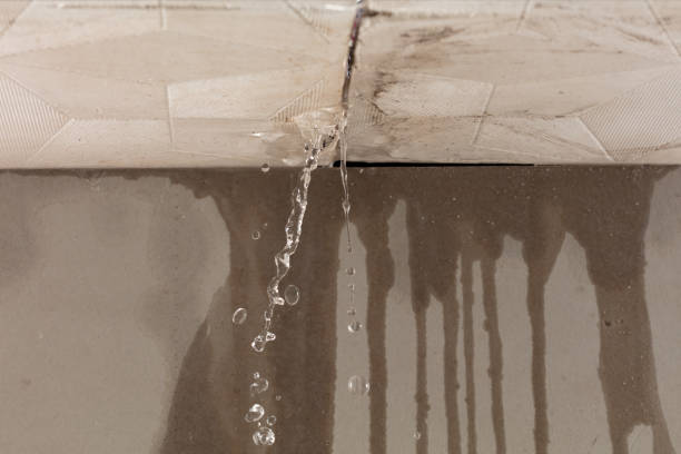 Professional Structural Drying technician working in Highland, KS